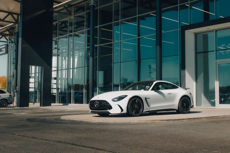 Badge and Brawn: How Factory Performance Divisions Are Earning Serious Street Cred in 2024